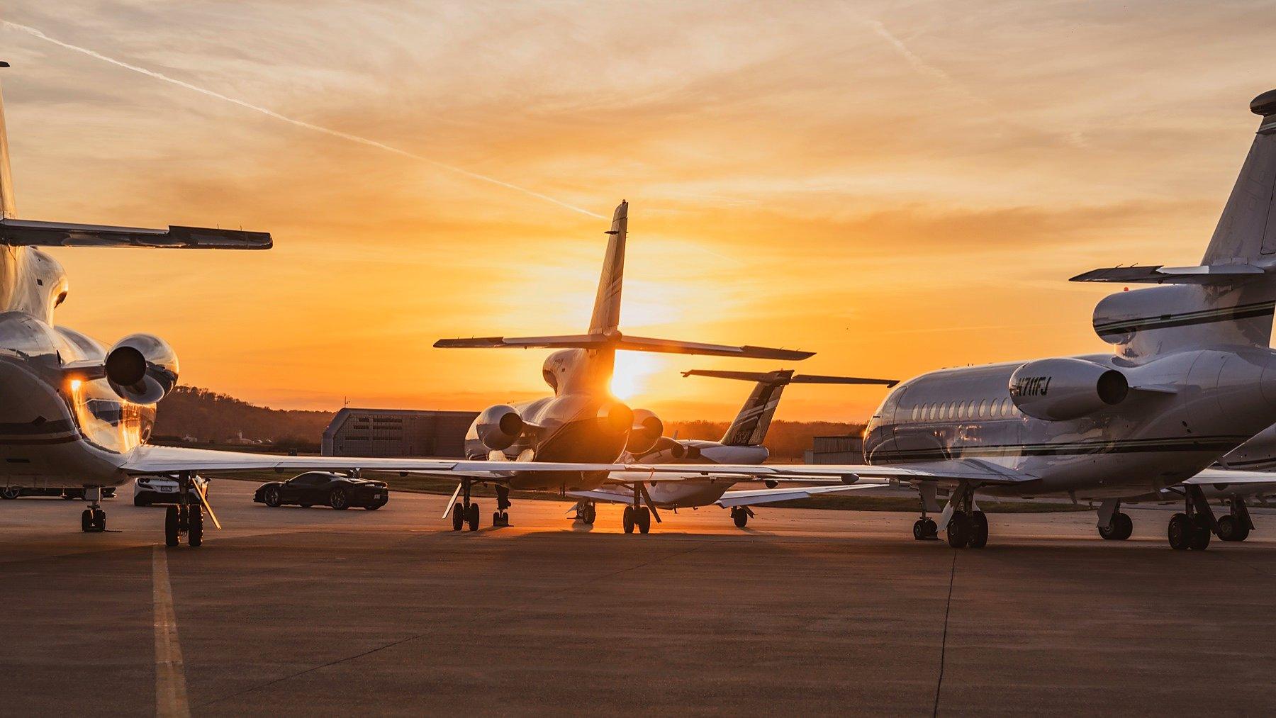 Falcons at dusk