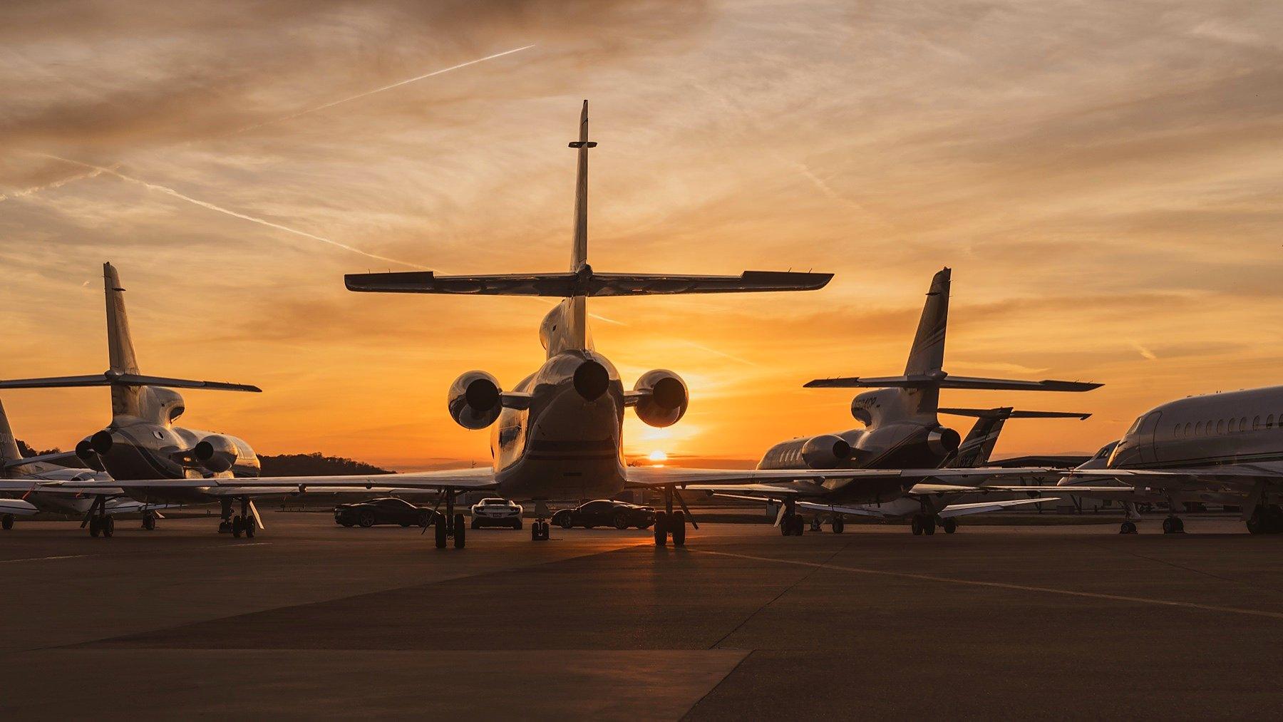 Falcon silhouettes at sunset
